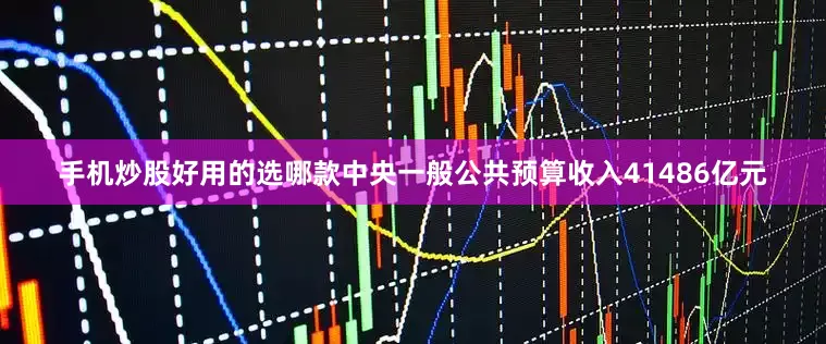 手机炒股好用的选哪款中央一般公共预算收入41486亿元
