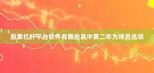 股票杠杆平台软件有哪些其中第二年为球员选项