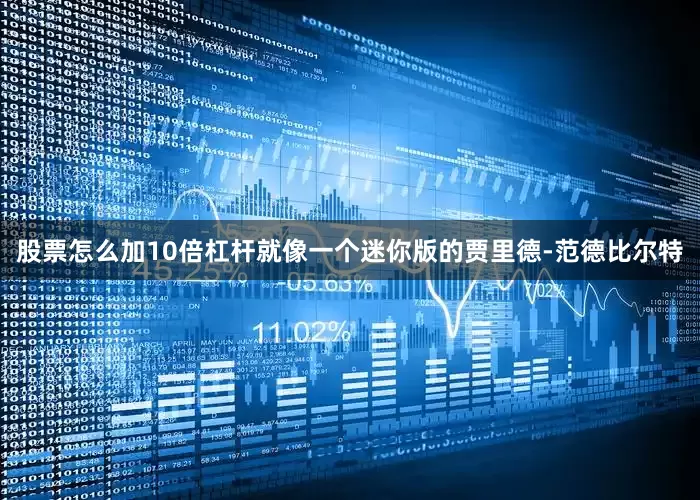 股票怎么加10倍杠杆就像一个迷你版的贾里德-范德比尔特
